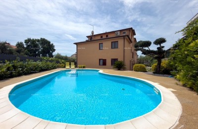 Novigrad, Wohnung an attraktiver Lage mit Pool.