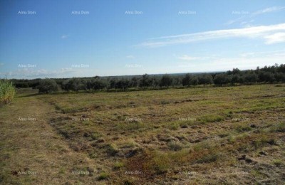 Wir verkaufen Grundstücke 3 km vom Meer entfernt.