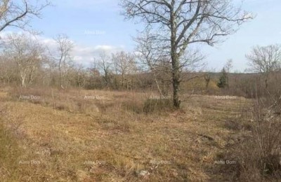 Grundstück Grožnjan