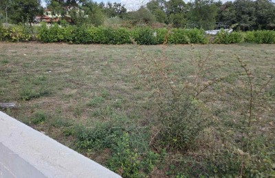 BAUGRUNDSTÜCK 1.550 m² – PAVIĆINI, DUGA UVALA