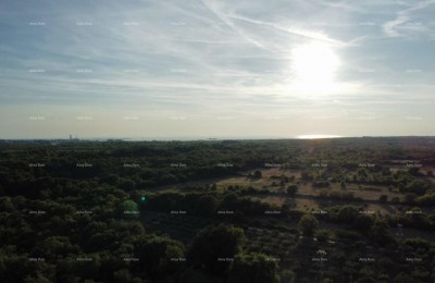 Vodnjan – Bau- und Landwirtschaftsland 8000 m²