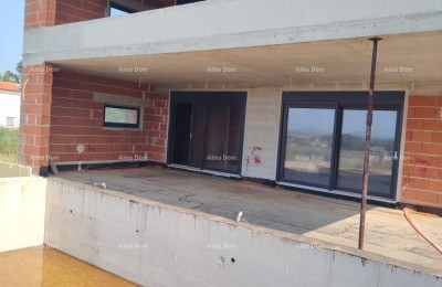 Ližnjan, Zu verkaufen: Fantastisches Erdgeschossapartment mit Pool