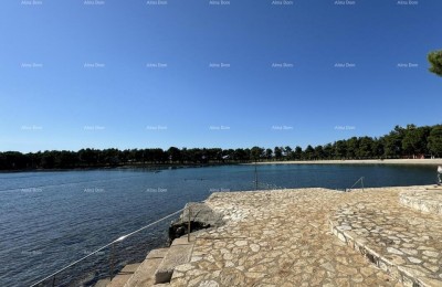 Wohnung Novigrad