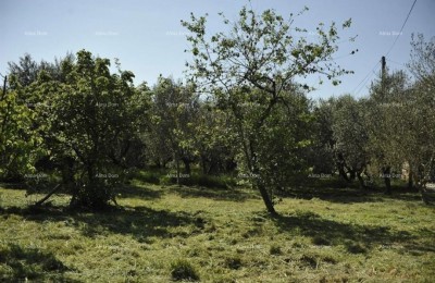 LOBORIKA - Bau- und Landwirtschaftsland