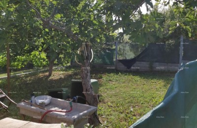 Zu verkaufen: Haus mit Weinkeller, großer Terrasse, zwei Drei-Zimmer-Wohnungen und Garten. Hervorragende Investitionsmöglichkeit!