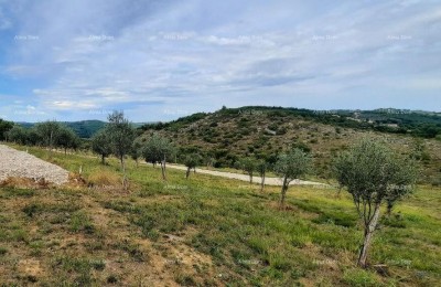 Momjan – Verkauf von Baugrundstücken an ausgezeichneter Lage.